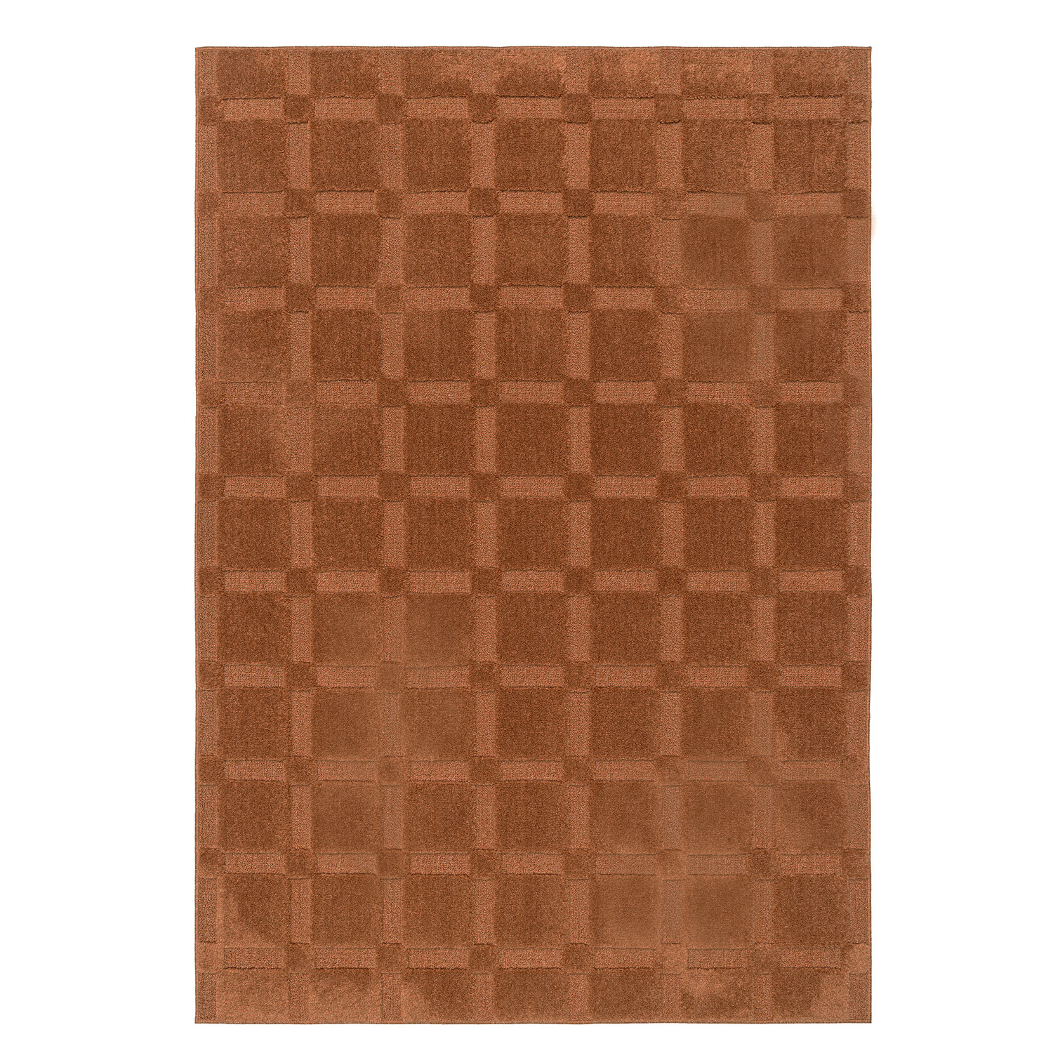 Kayce Machine-Woven Rug