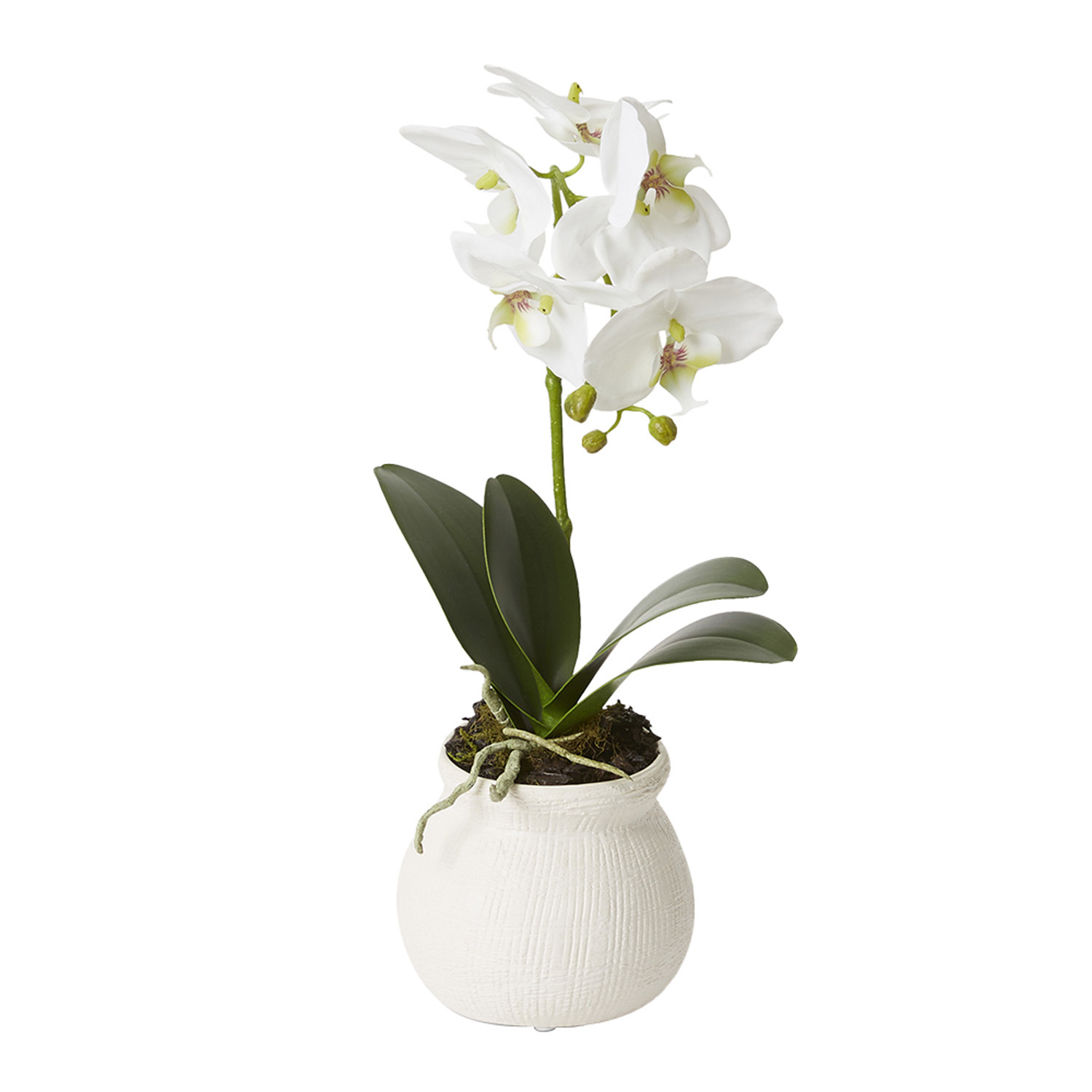 45cm Potted Faux Phalaenopsis Grand Orchid