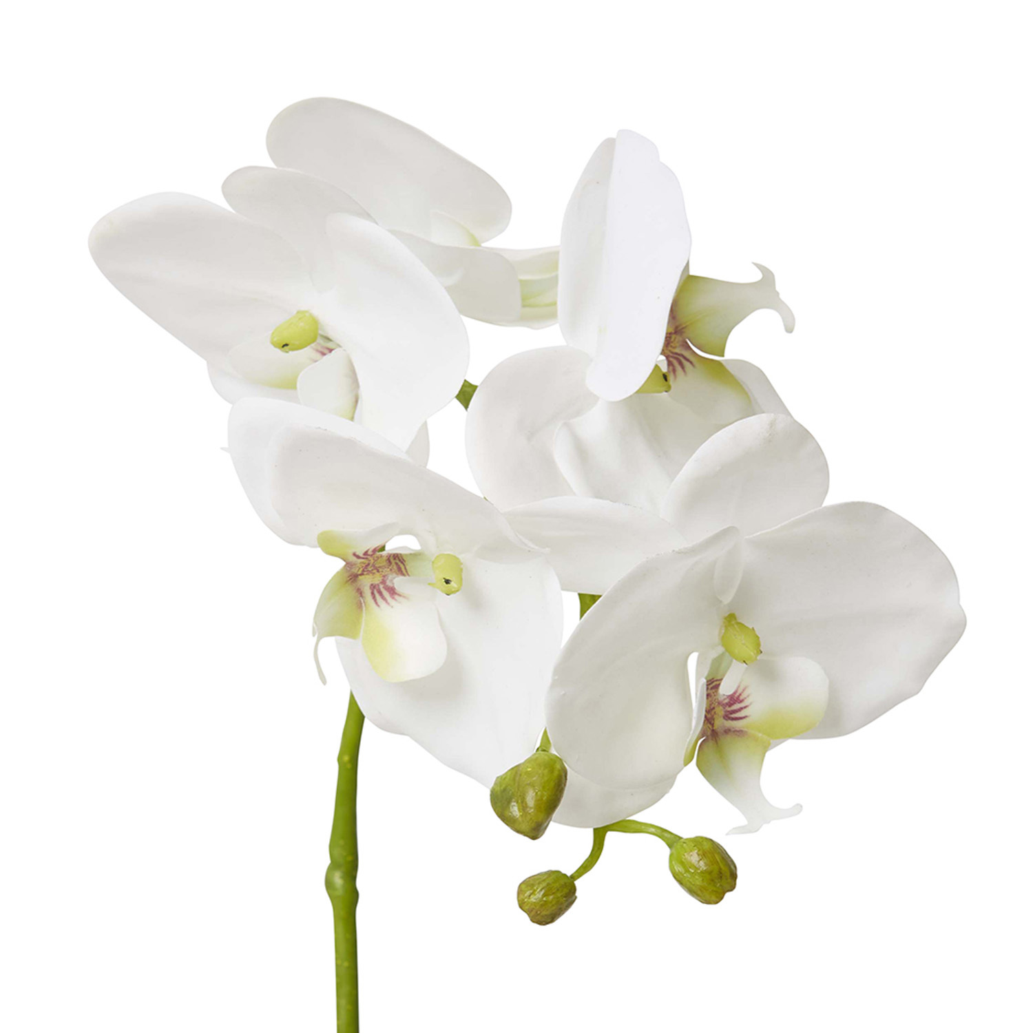 45cm Potted Faux Phalaenopsis Grand Orchid