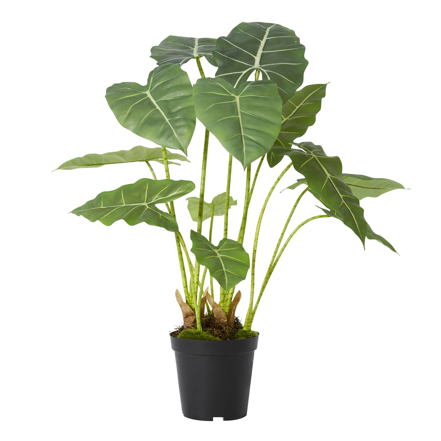 70cm Potted Faux Alocasia Frydek Plant