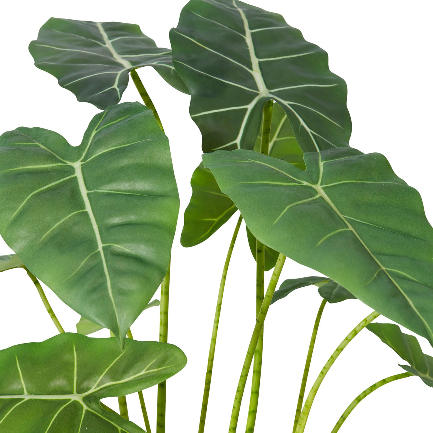 70cm Potted Faux Alocasia Frydek Plant