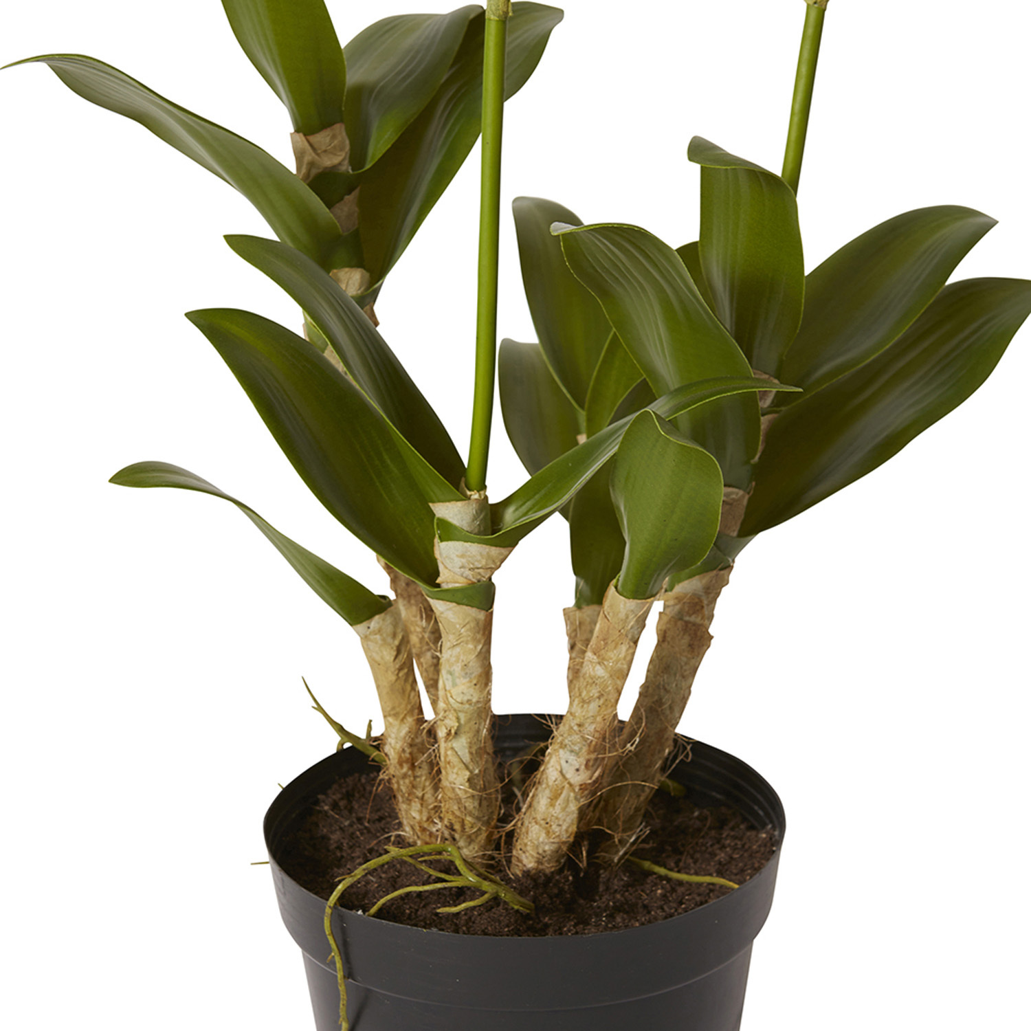 89cm Potted Faux Orchid Dendrobidium Flower
