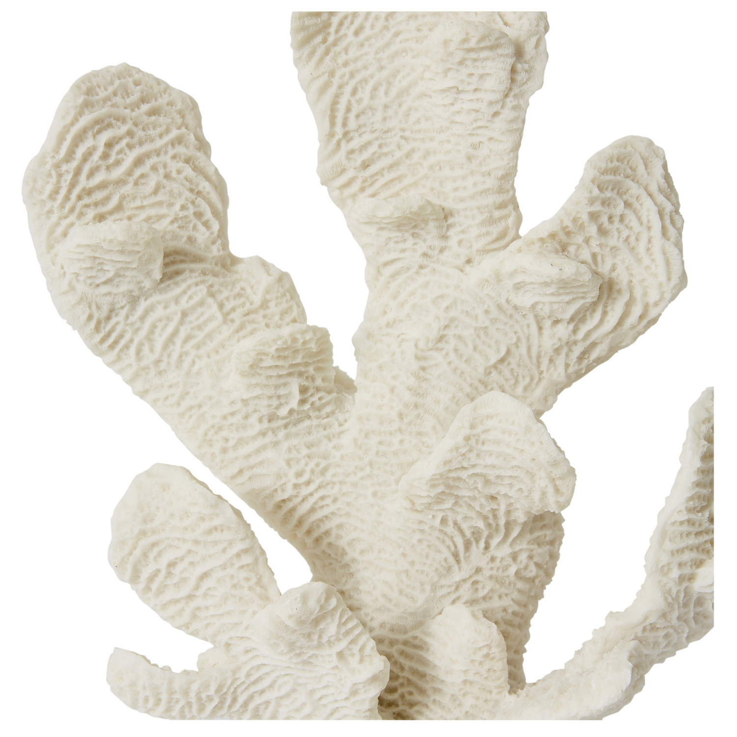Elkhorn Coral Resin Sculpture