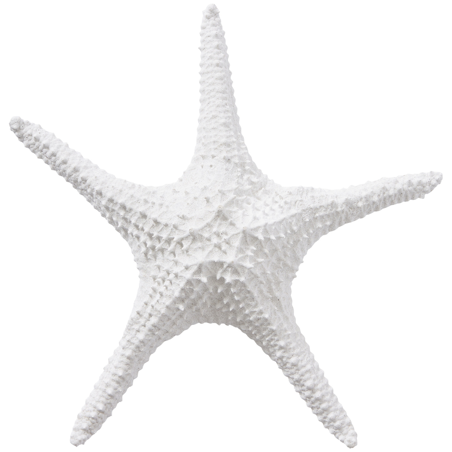 Starfish Decorative Ornament