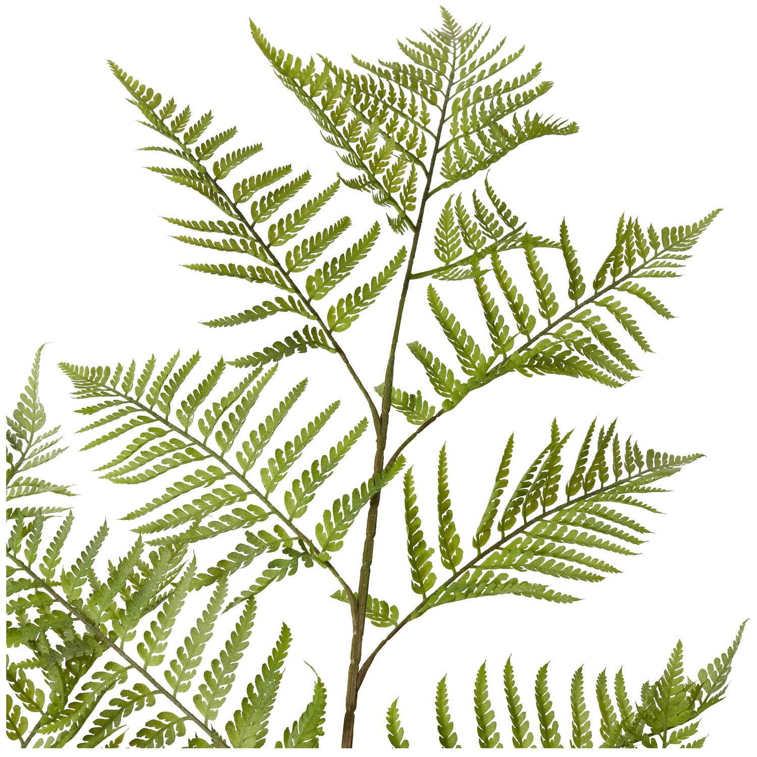 157cm Potted Faux Woodland Fern Plant