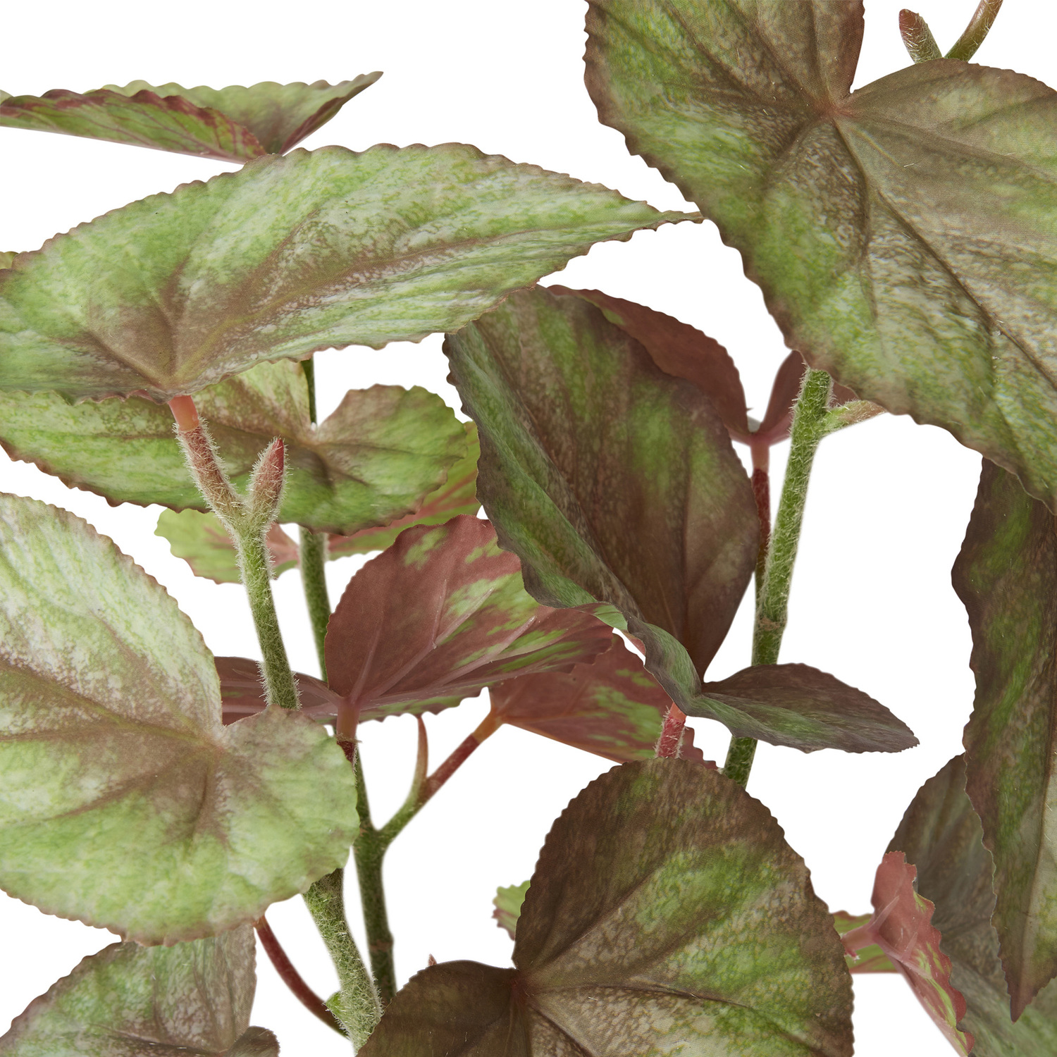 59cm Potted Faux Begonia Plant