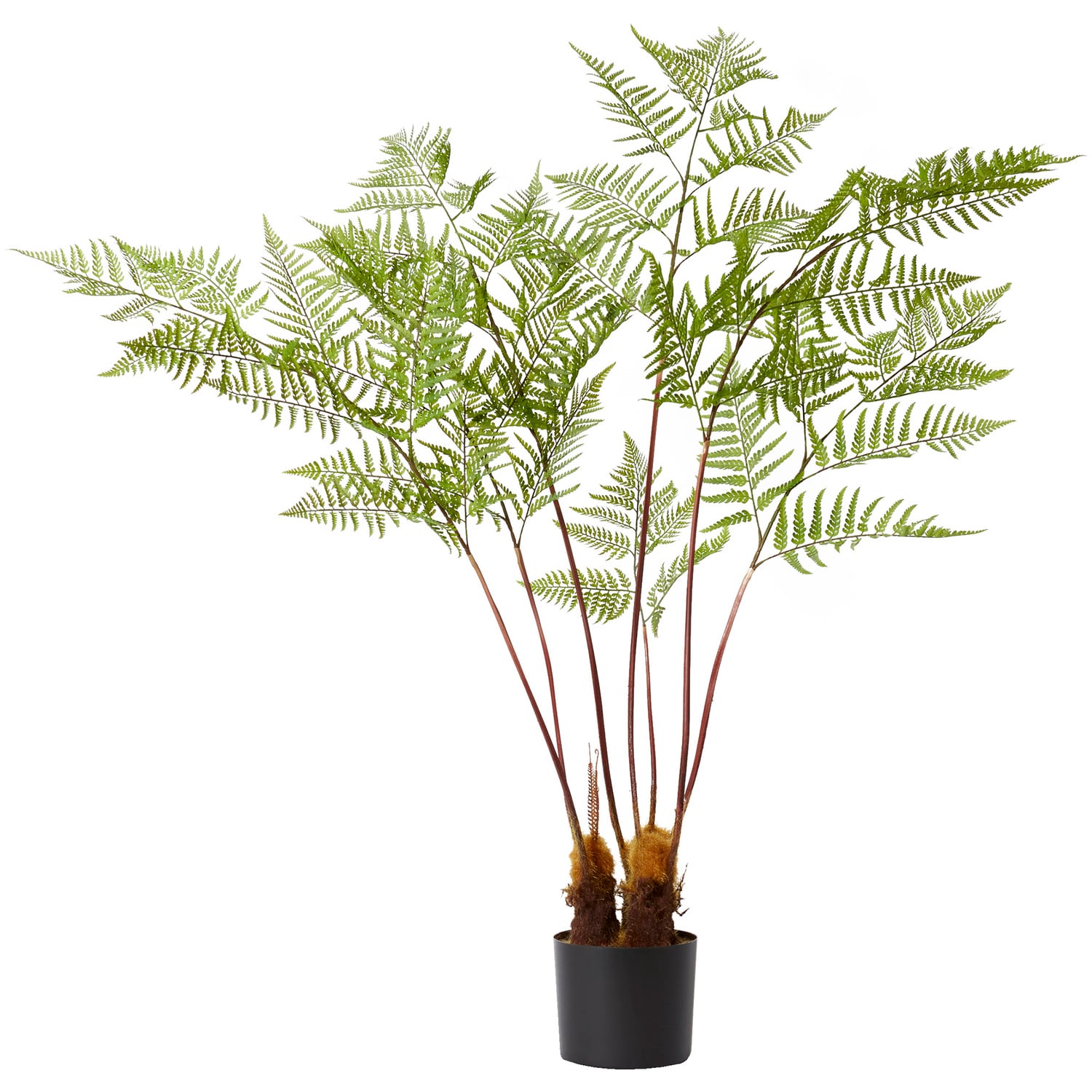 157cm Potted Faux Woodland Fern Plant