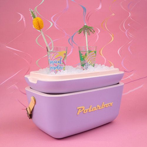Retro Polarbox Cooler Box