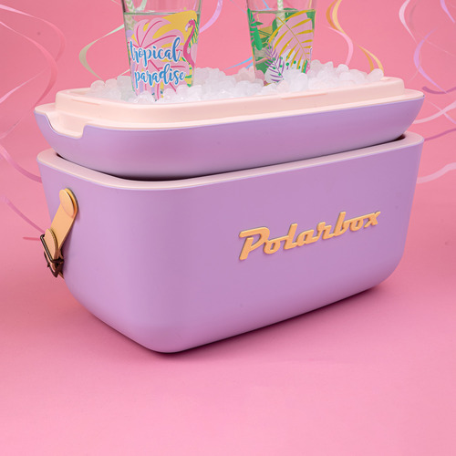 Retro Polarbox Cooler Box