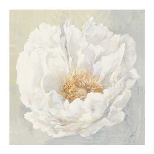 Serene Peony Canvas Wall Art