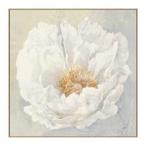 Serene Peony Canvas Wall Art