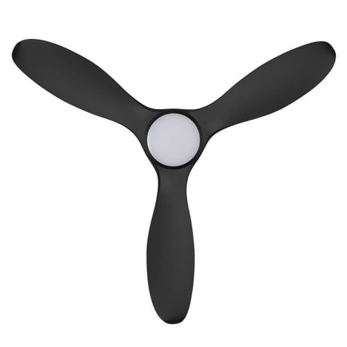 Noosa DC Ceiling Fan with LED & Remote Control