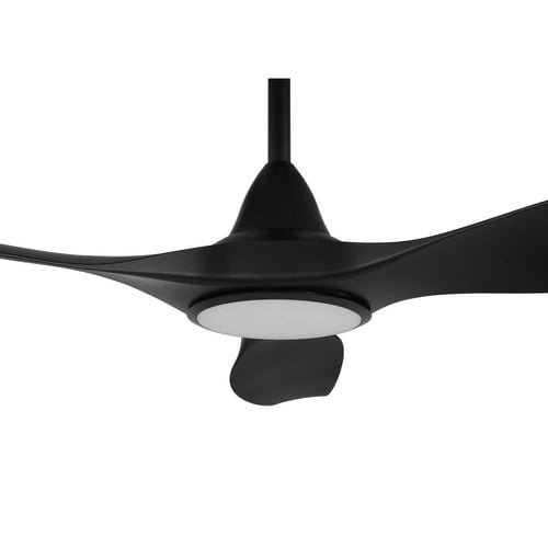 Noosa DC Ceiling Fan with LED & Remote Control