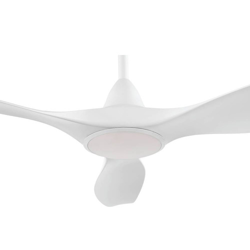 Noosa DC Ceiling Fan with LED & Remote Control