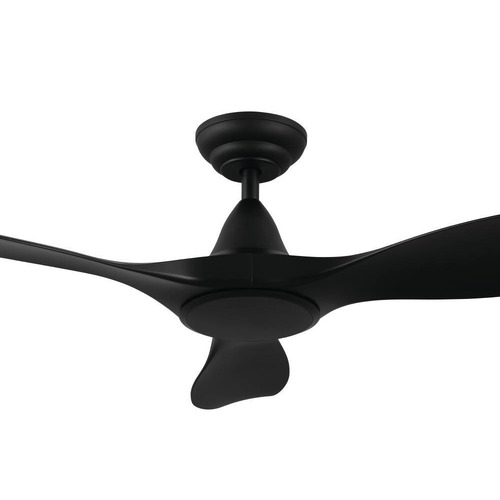Noosa DC Ceiling Fan with Remote Control
