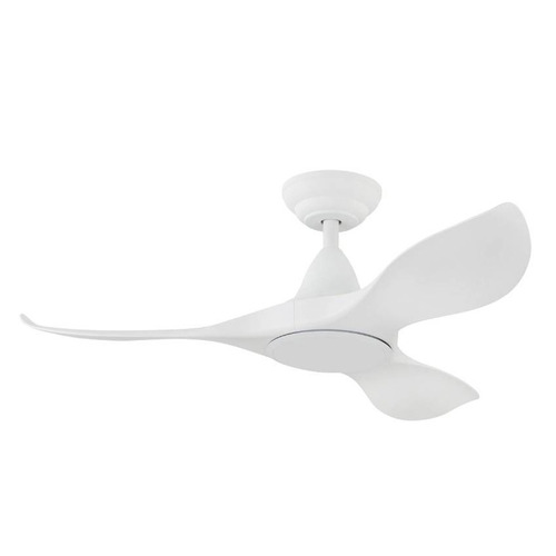 Noosa DC Ceiling Fan with Remote Control