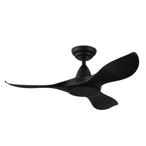 Noosa DC Ceiling Fan with Remote Control