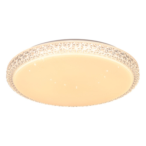 Delilah LED Oyster Light
