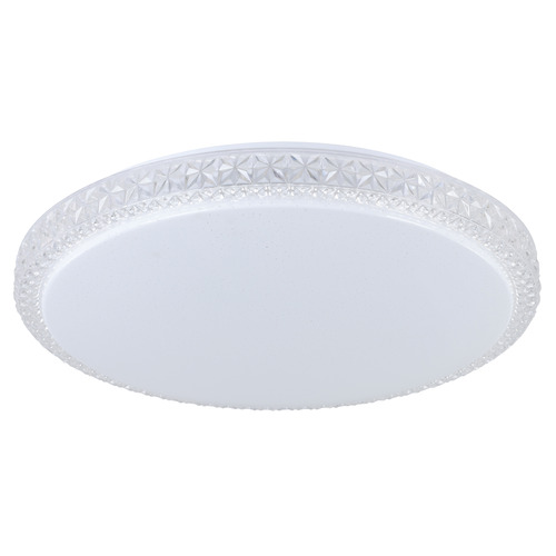 Delilah LED Oyster Light