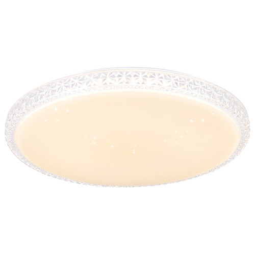 Delilah LED Oyster Light