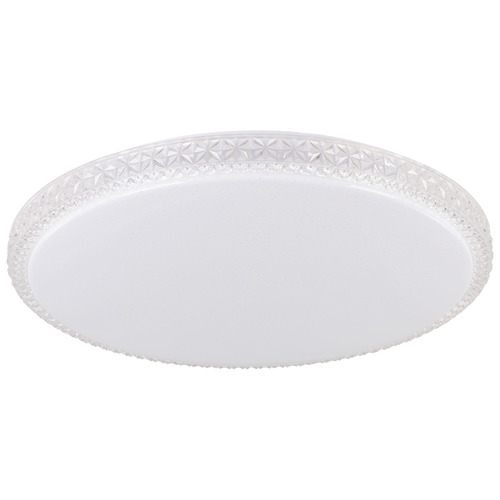 Delilah LED Oyster Light