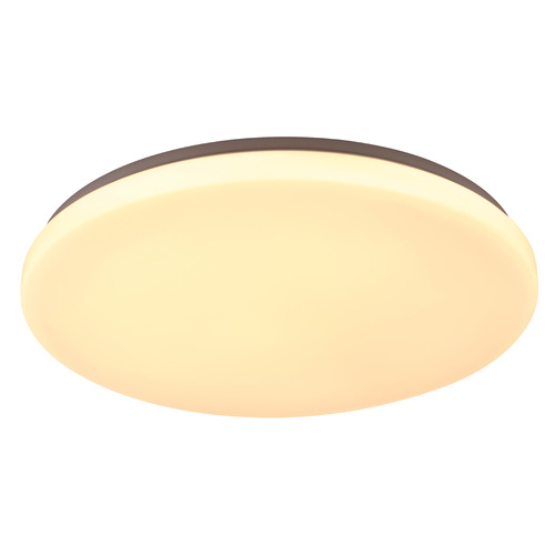 Diego 36W LED Oyster Light