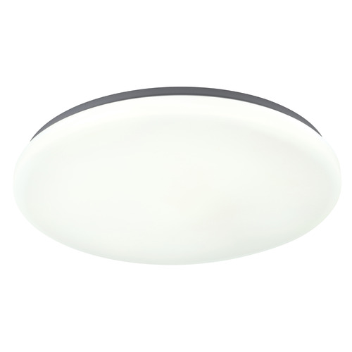 Diego 36W LED Oyster Light