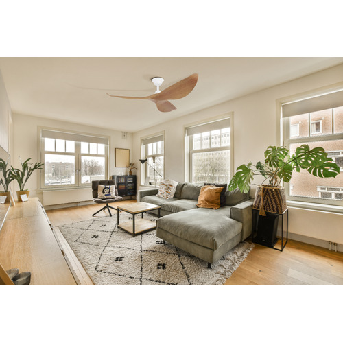 127cm-Cabarita-DC-Ceiling-Fan-with-Remote-Control