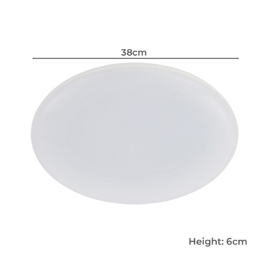 Roystar LED Outdoor Oyster Light