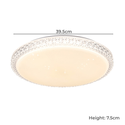 Delilah LED Oyster Light