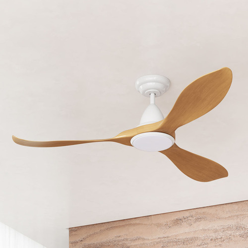 Noosa DC Ceiling Fan with LED