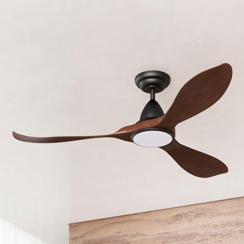 Noosa DC Ceiling Fan with LED