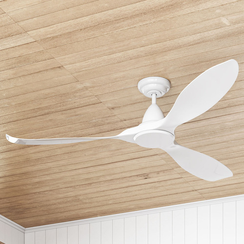 Noosa DC Ceiling Fan