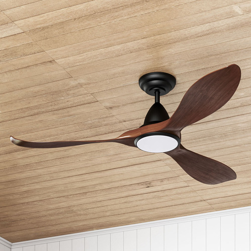 Noosa DC Ceiling Fan with LED