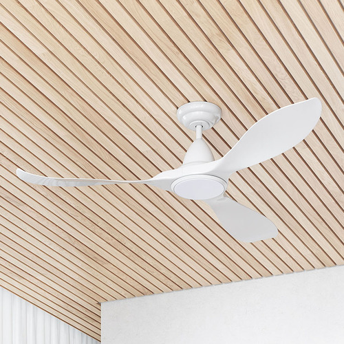 Noosa DC Ceiling Fan with LED