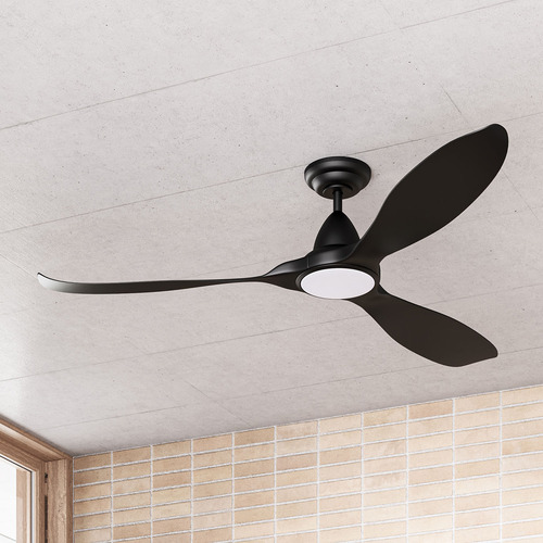 Noosa DC Ceiling Fan with LED