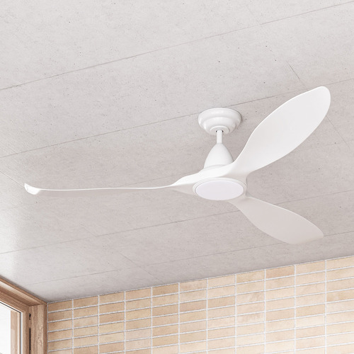 Noosa DC Ceiling Fan with LED