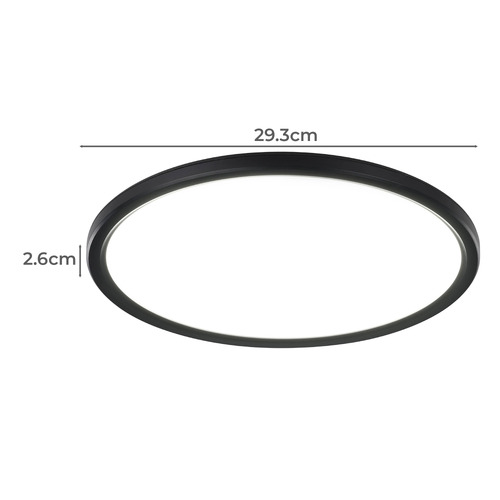 Romeo Outdoor LED Oyster Light