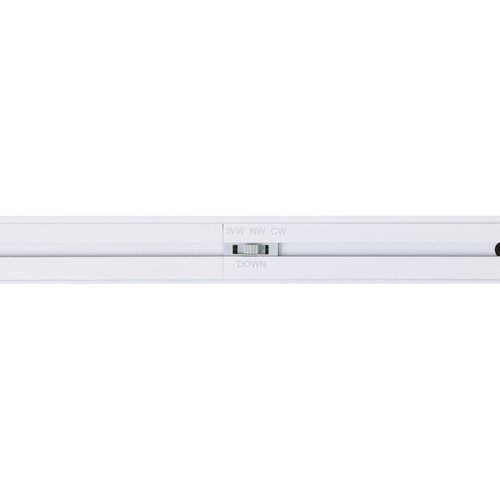 Climene Linear LED Pendant Light