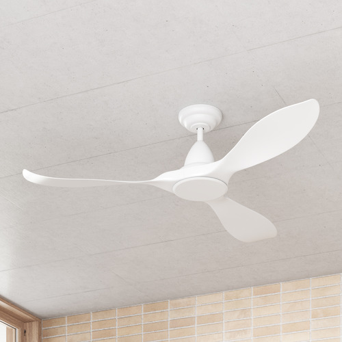 Noosa DC Ceiling Fan with Remote Control