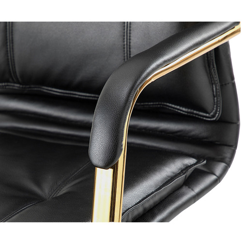 Rasine Faux Leather Office Chair