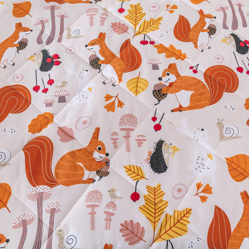 Find a Squirrel Cotton Comforter Set