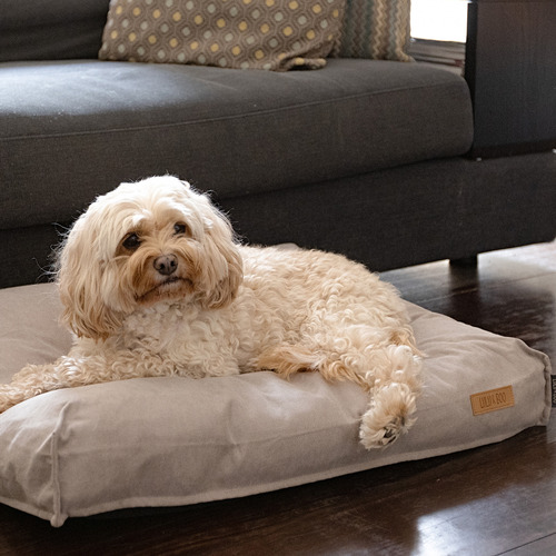 Siena Pet Pillow Bed