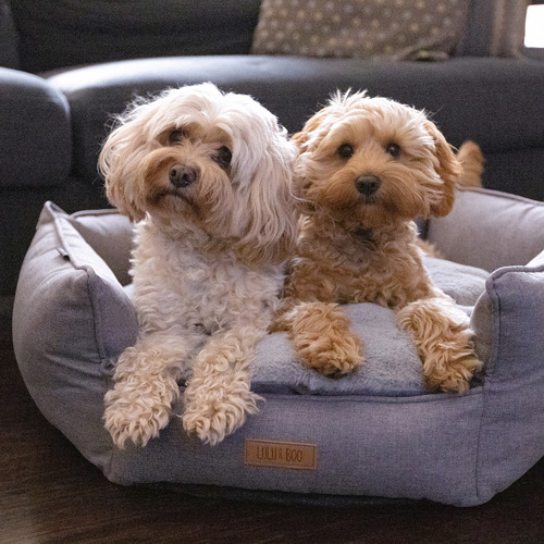 Hexagon Pet Bed