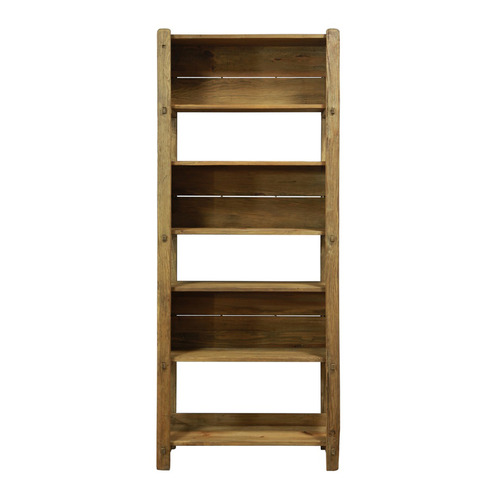 Leclair Ladder Wall Book Shelf