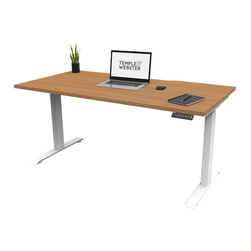Herschel 120cm Economy Electric Sit & Stand Desk