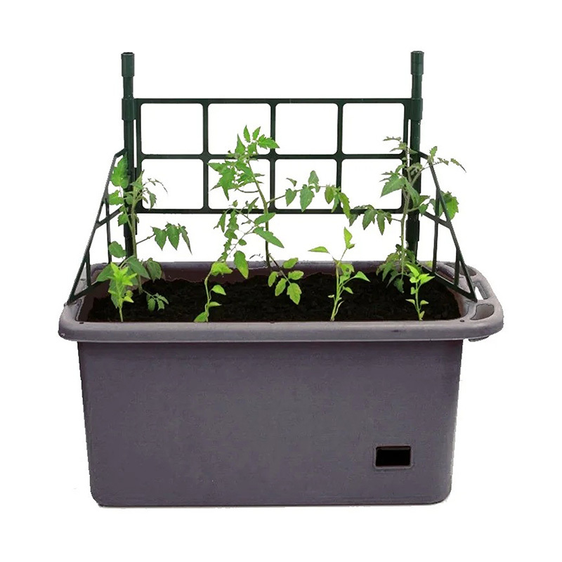 Calix Vege Patch with Self Watering Pot