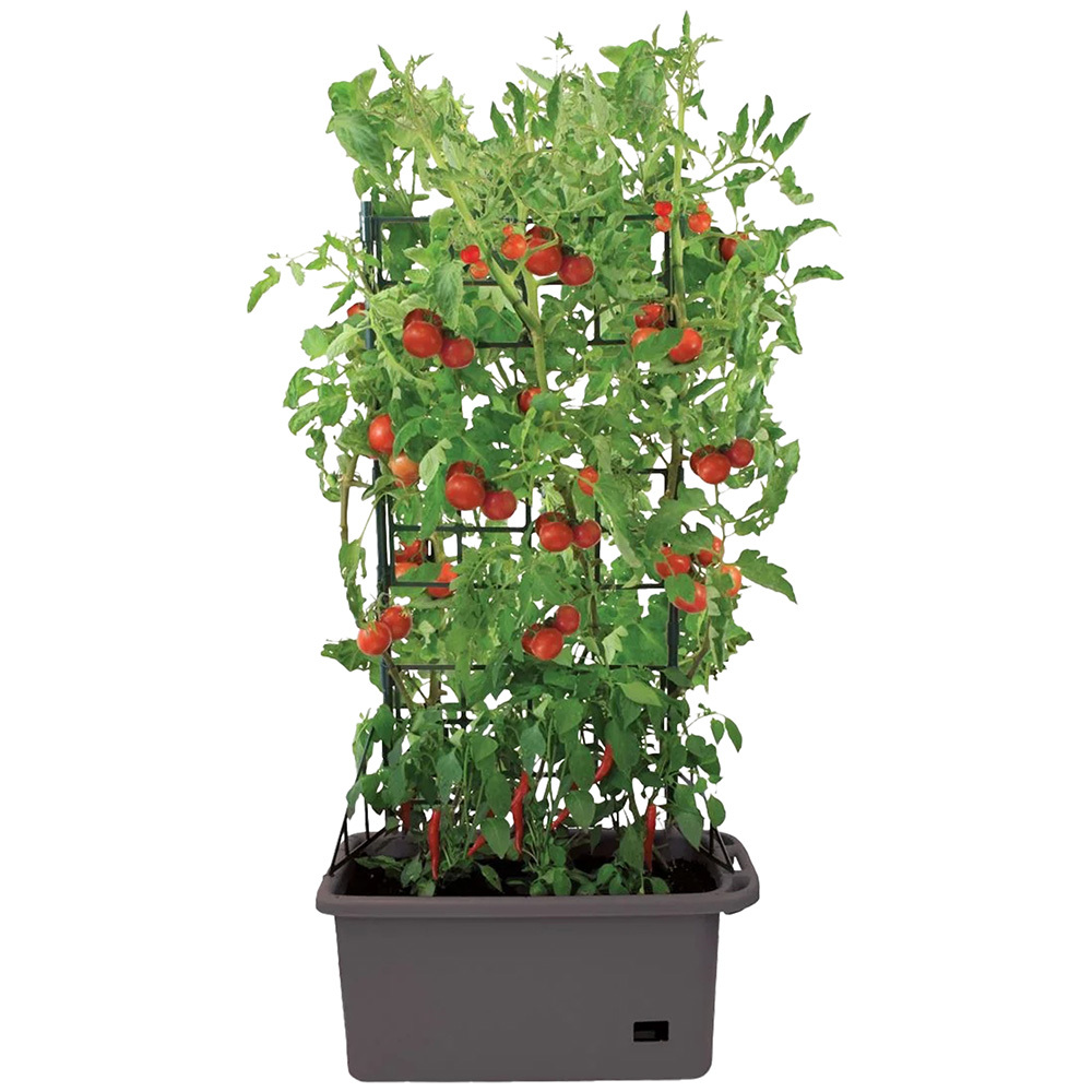Calix Vege Patch with Self Watering Pot