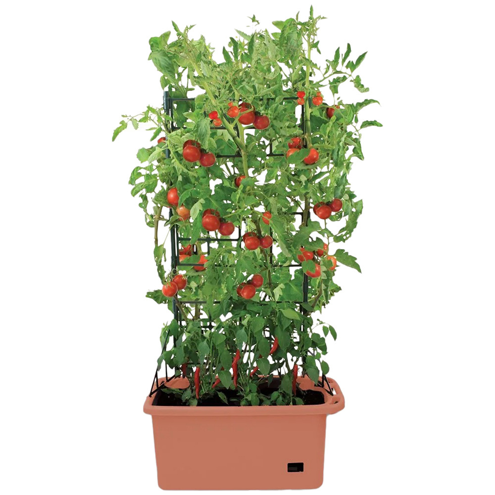 Calix Vege Patch with Self Watering Pot