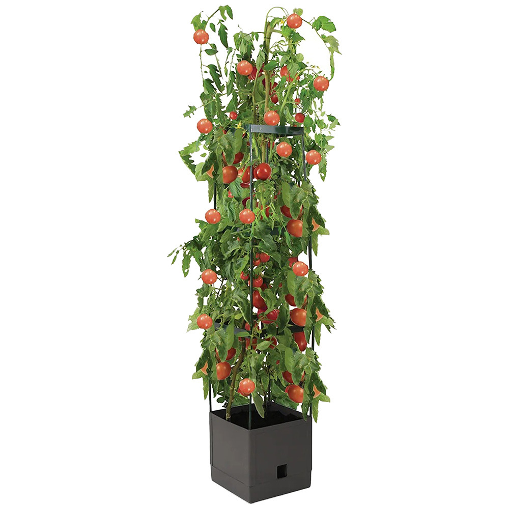 Calix Tower Three Tier with Self Watering Pot